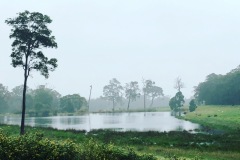 Dam-misty
